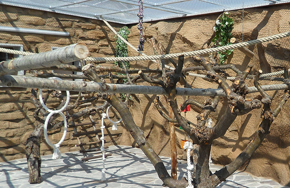 kunstfelsen-mauerwerk-nachbildung-vogel-voliere-glasfaserbeton Die linke Wandgestaltung erfolgte als farblich angepasste Nachbildung eines Mauerwerks