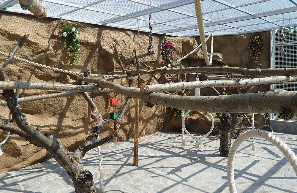 Ein naturgetreu gestaltetes Zuhause für exotische Vögel entstand aus Glasfaserbeton an den Wänden einer Ara-Voliere